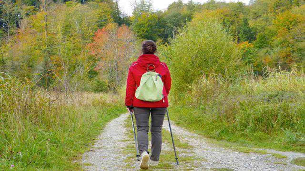 Burnout, scopri come può cambiarti la vita (pixabay) cilentolive.com 130822