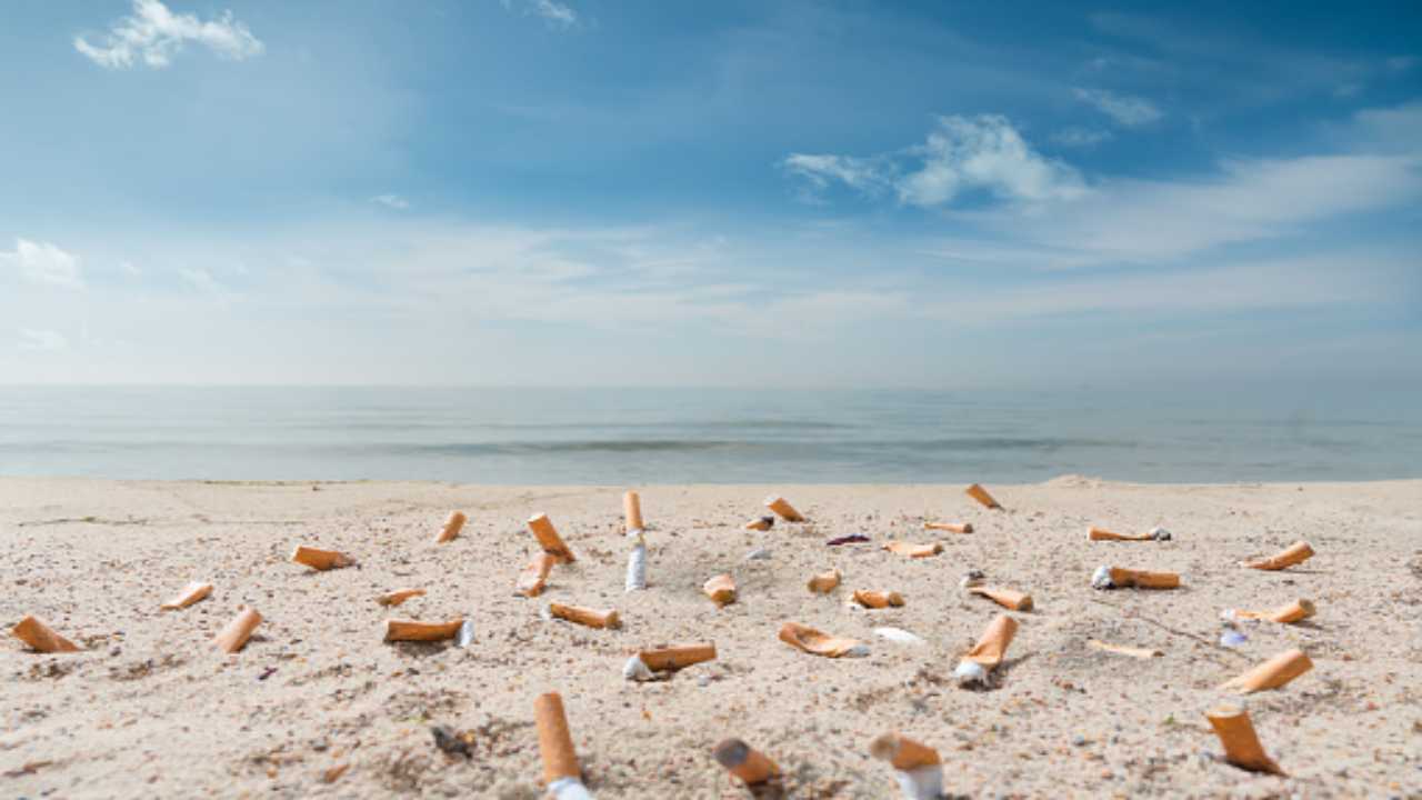 La "bruttura" delle spiagge? I mozziconi di sigaretta (pixabay) cilentolive.com 180822