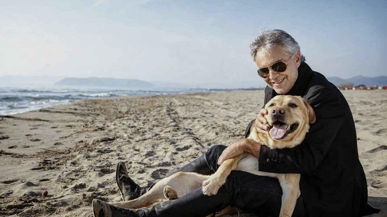 Bocelli cane - www.cilentolive.com