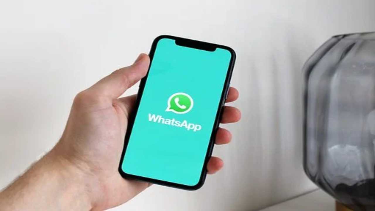 Grandissima novità da non credere: su WhatsApp arriveranno gli avatar (pixabay) cilentolive.co210922