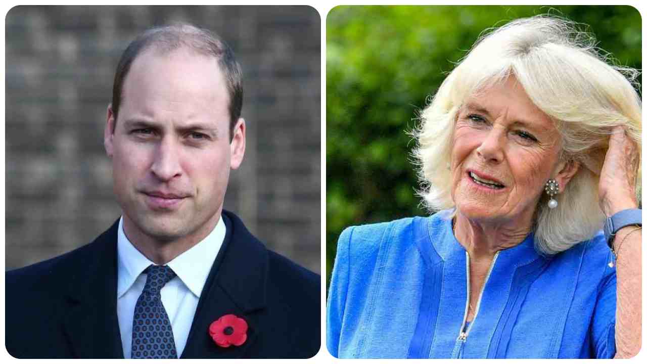 Rapporto tra William e Camilla - www.cilentolive.com