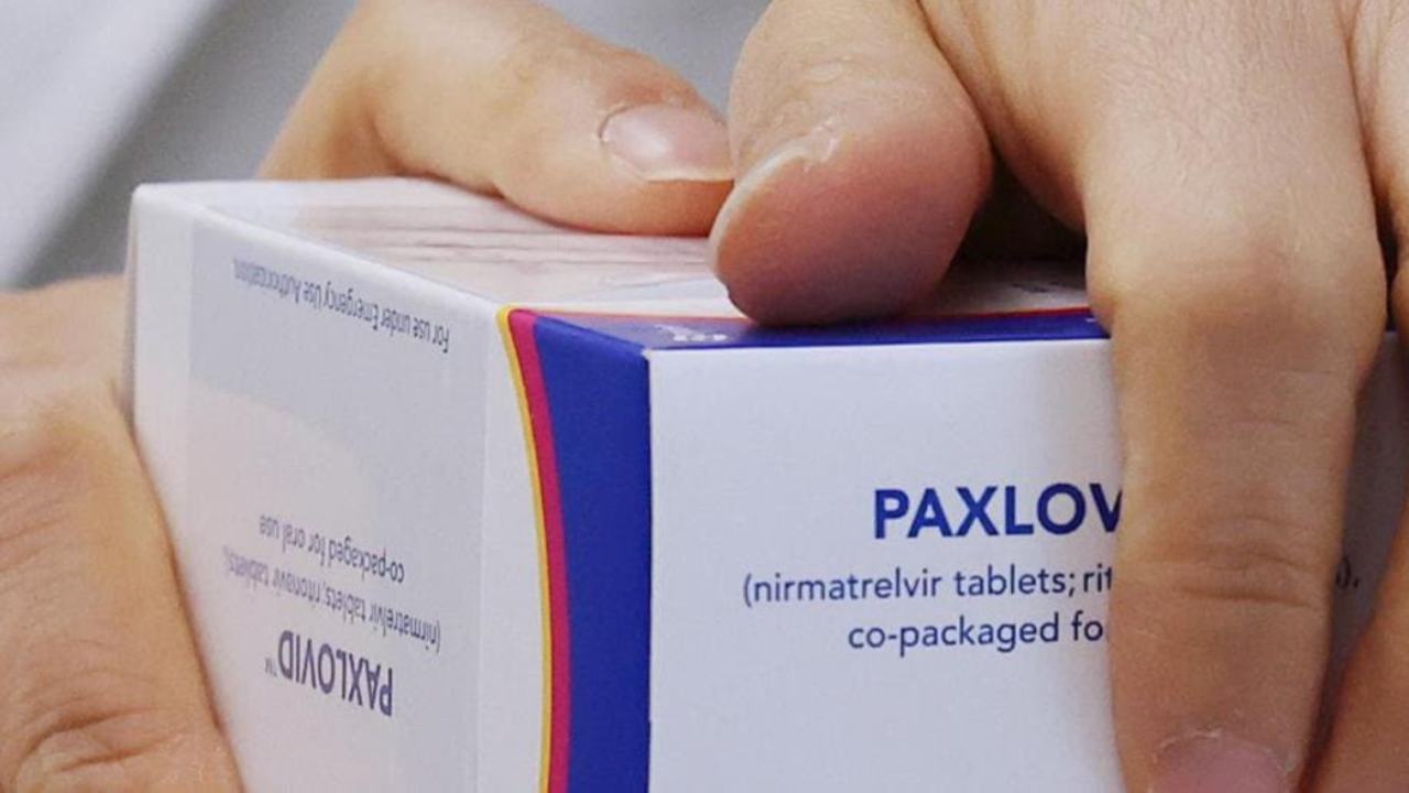 Perché in Italia scarseggia il Paxlovid? - www.cilentolive.com