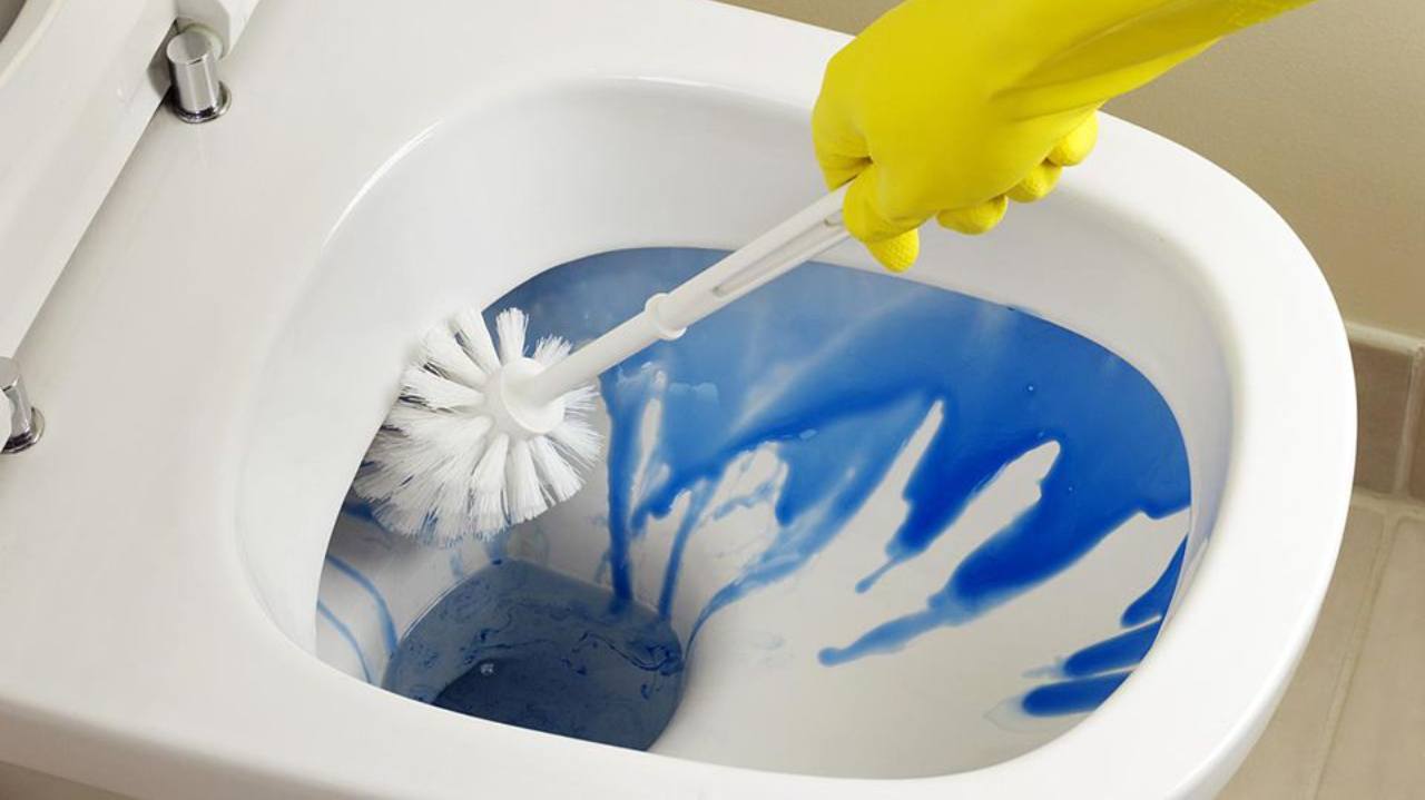Giornata mondiale della toilet - www.cilentolive.com