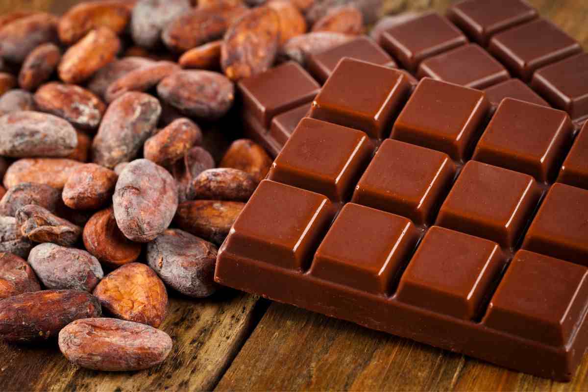 cacao alternativa