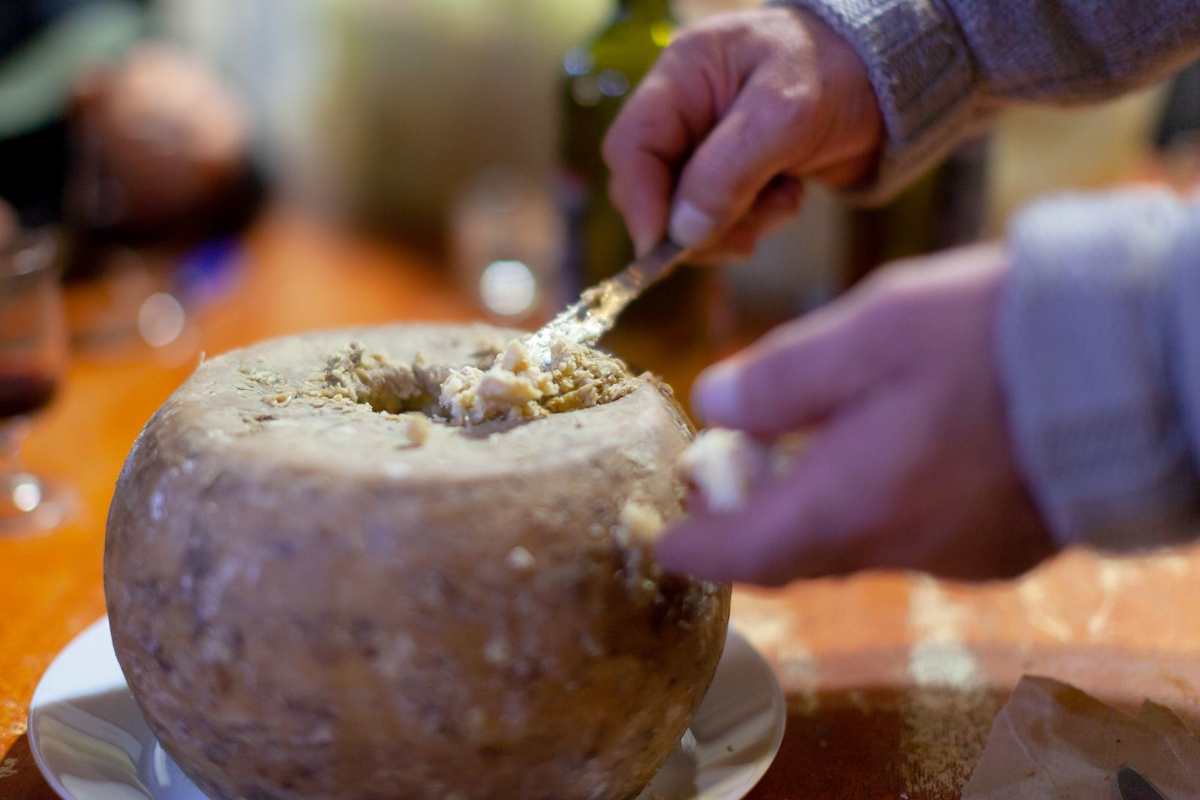 La storia del formaggio con I vermi sardo