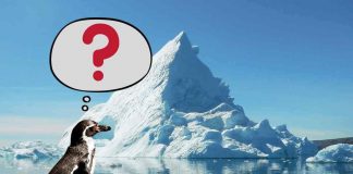 Il segreto degli iceberg: così stanno a galla