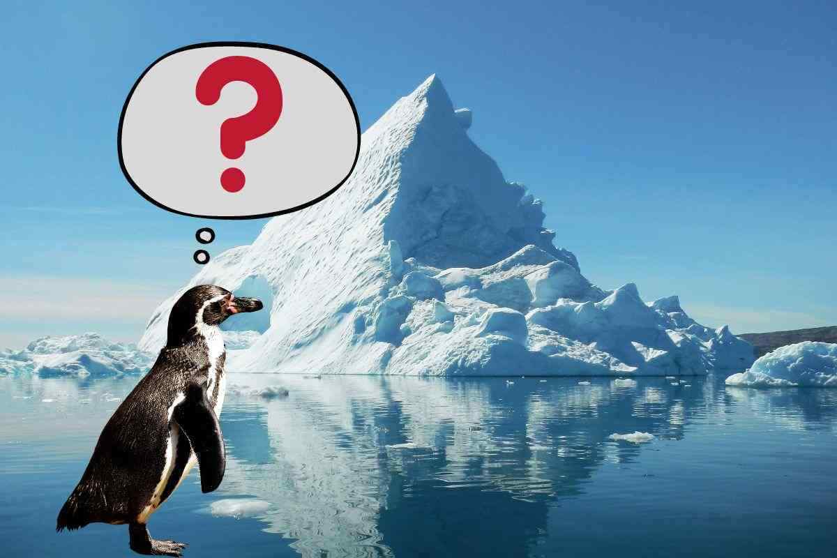 Il segreto degli iceberg: così stanno a galla
