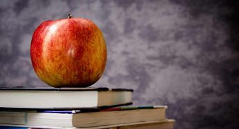 I libri più letti della storia: titoli sorprendenti, non ci crederete