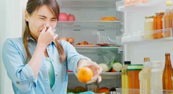 Alimenti, come cambieranno le etichette con la data di scadenza: la decisione dell’Ue