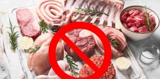 Stop Carne