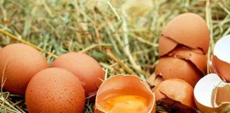 6 modi riciclo gusci uova