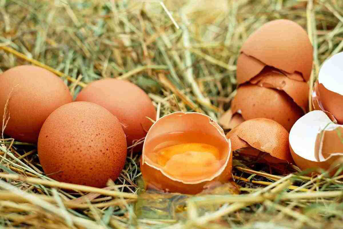 6 modi riciclo gusci uova