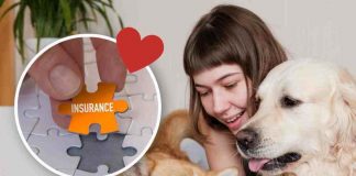 assicurazione animali domestici