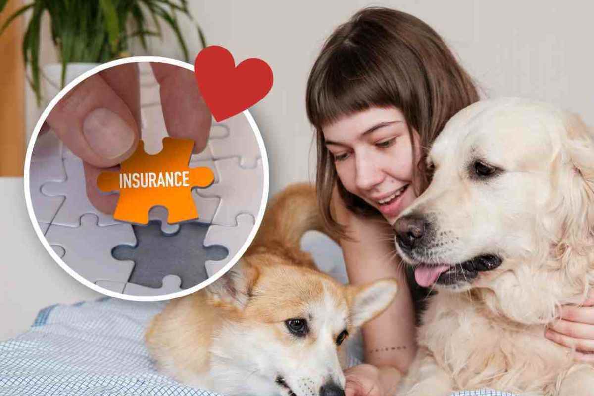 assicurazione animali domestici