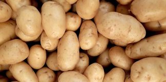 Patate, ecco tutto quello che puoi farci