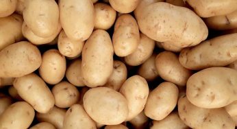 Patate, non mangiarle soltanto: non ci crederai a quante cose puoi farci
