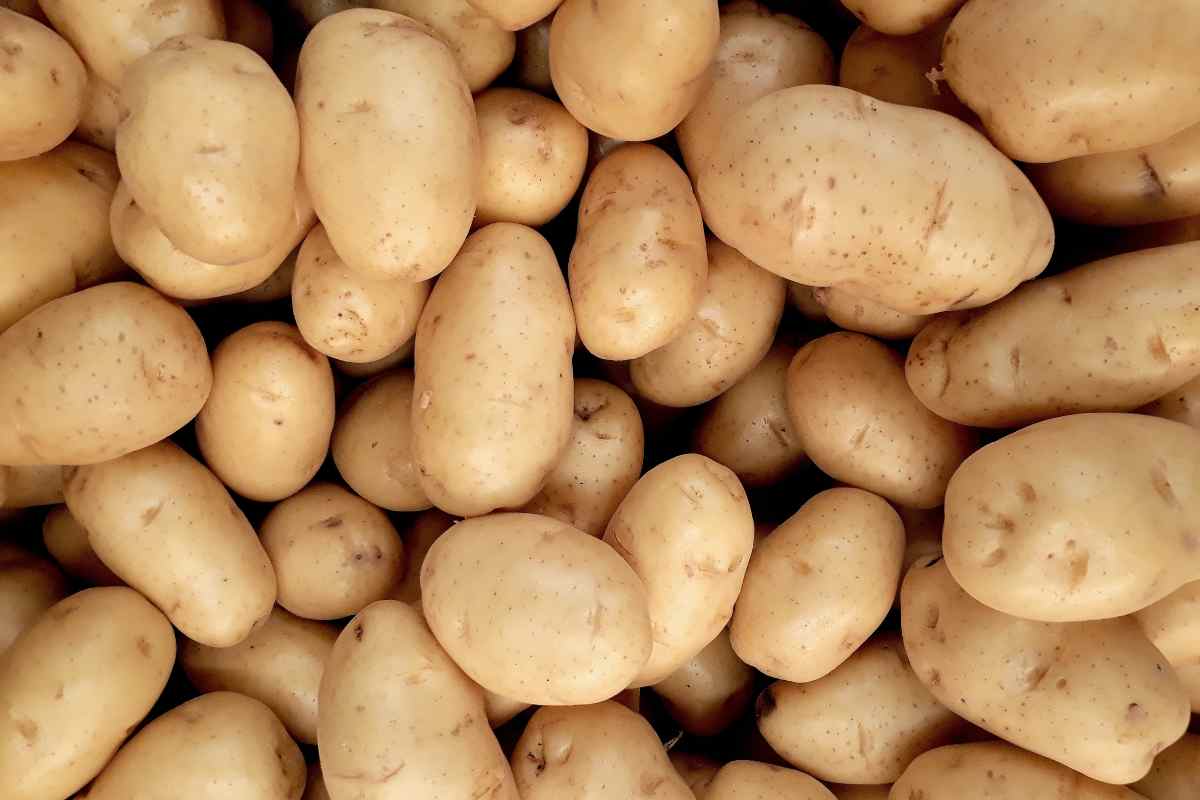 Patate, ecco tutto quello che puoi farci