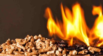 Rischi di rovinare tutto: dove metti di solito il pellet? Tutti fanno questo errore