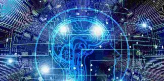 cervello ricordi come vengono selezionati memoria lungo termine