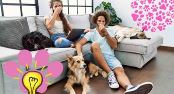 Tu non lo senti, ma gli altri sì! L’odore del cane in casa può essere un problema, risolvilo così